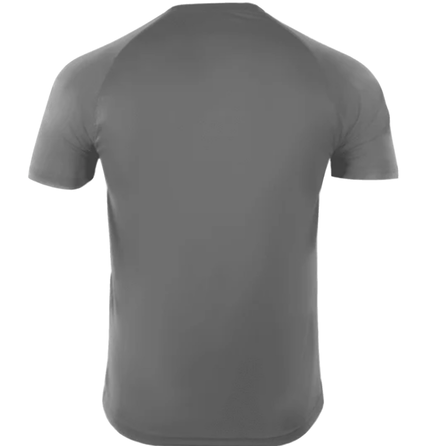 Men's Crew Neck Polyester Tee (TALL)