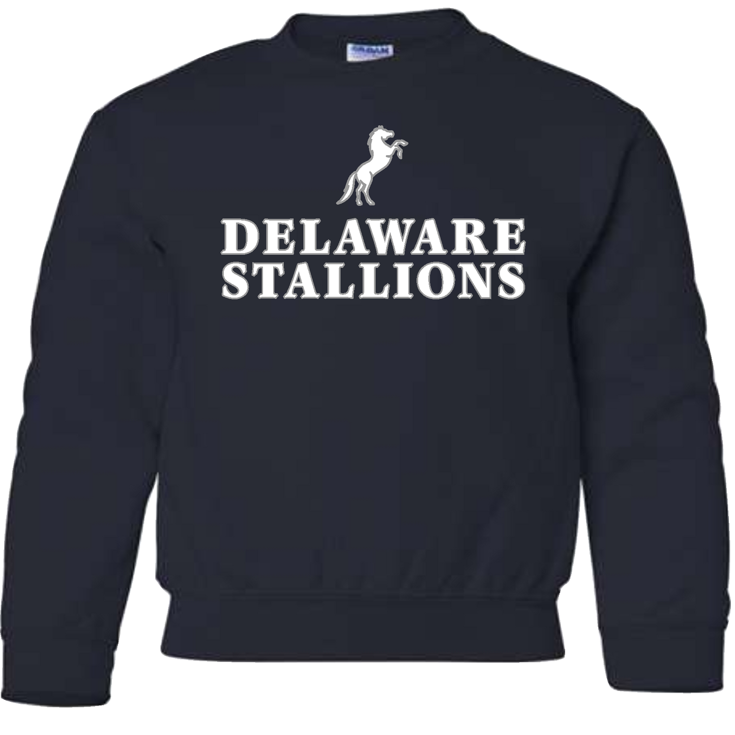 Gildan Youth Heavy Blend Sweatshirt