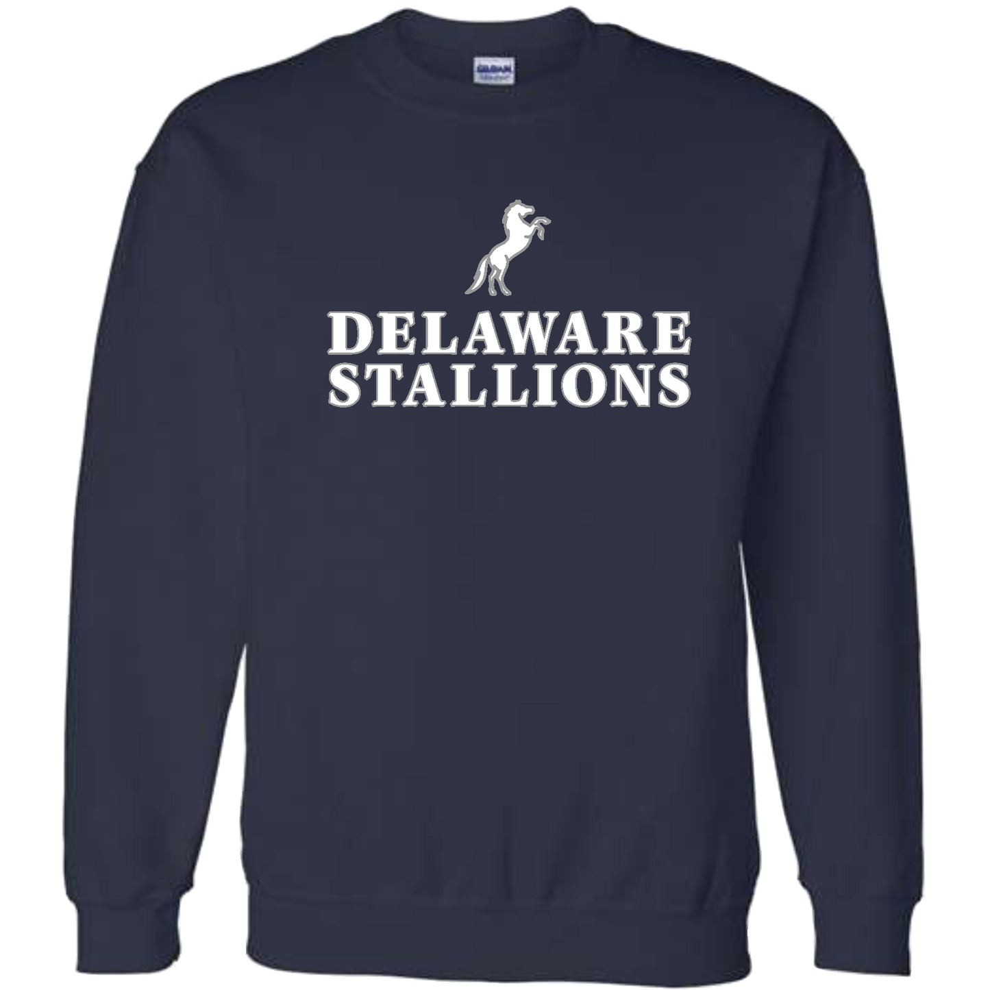 Gildan Unisex DryBlend Crewneck Sweatshirt