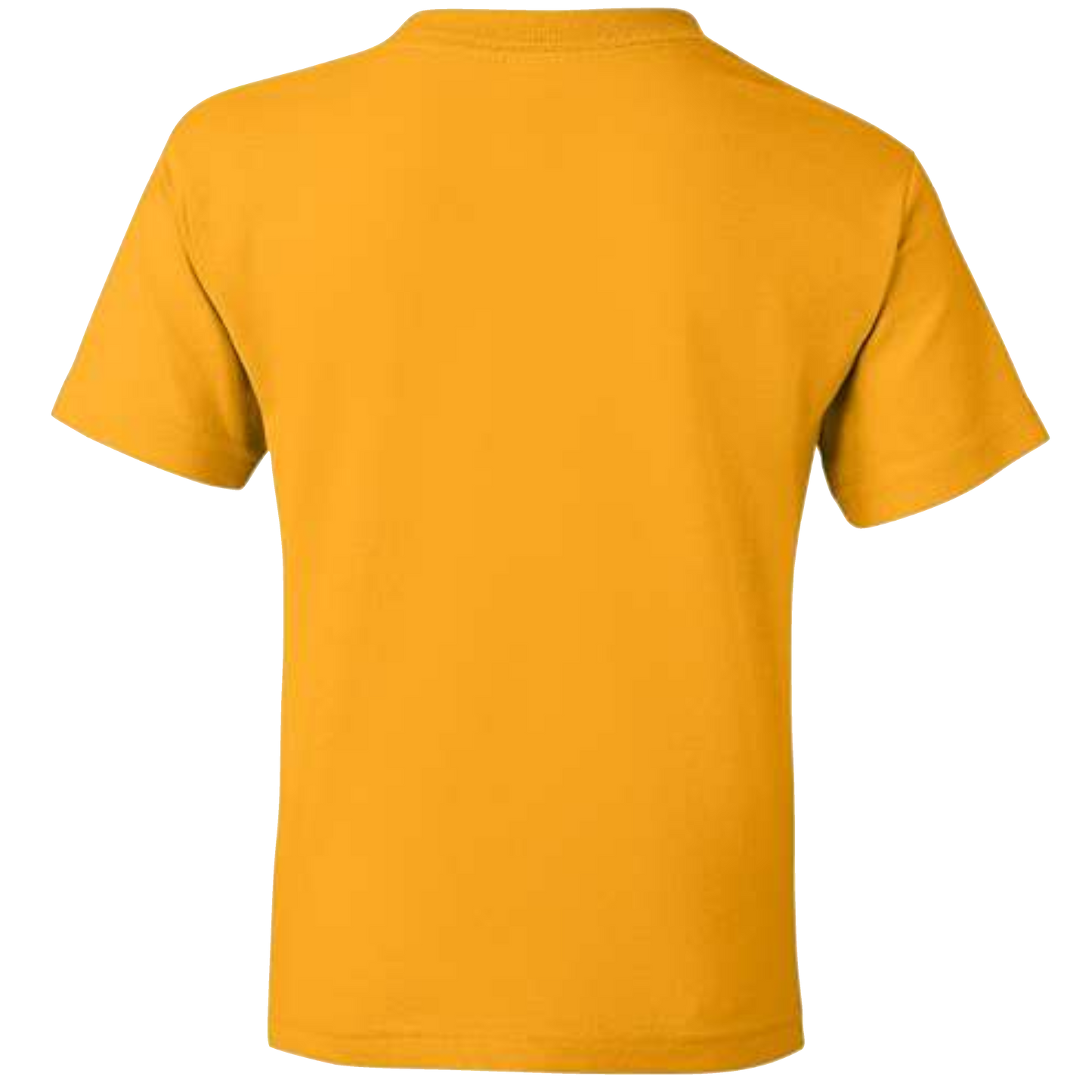 Youth Gildan DryBlend Cotton SS Tee